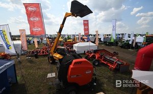‘There are no seeds, equipment, or manpower’ — problems of flax and hemp growing discussed in Kazan