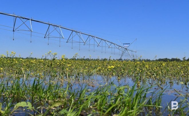 Subsidies on farmland improvement in Volga area cut to 1.5bn