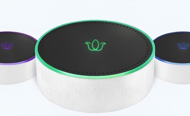 ‘We have put the project on pause’: Aliya smart column stuck at concept stage