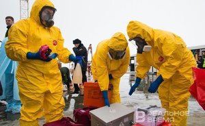 ‘Meat was taken for sale on the M7 highway after livestock slaughter’: anthrax can go outside Chuvashia