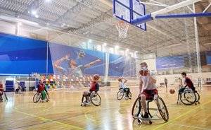 Snow Leopard Wings: most important thing — to believe in yourself