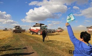 Reduction of pastures and reduction of the number of cows — how the agricultural sector of Tatarstan has changed in five years