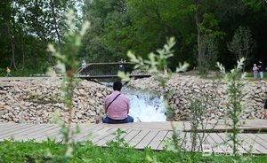 Tatarstan falls out from top 10 in landscape voting activity