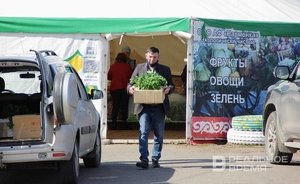 Satisfying staff shortage and making it attractive: Tatarstan to update agricultural development programme