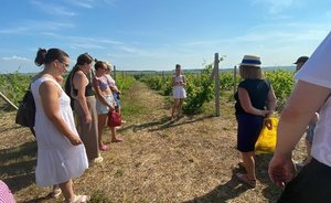 ‘100-300 people a day’ — winegrowers from Kamskoe Ustye rely on agrotourism