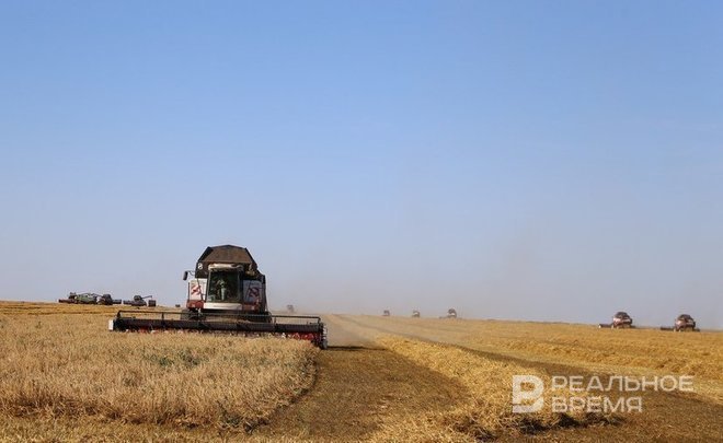 Mishustin approves 260m as support for Tatarstan agriculturists