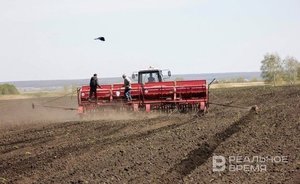 A fifth of winter crops in Tatarstan under threat of death