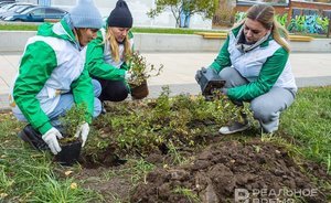 Green gimmick: 20 types of bushes and trees adorn Nizhnekamsk's new square