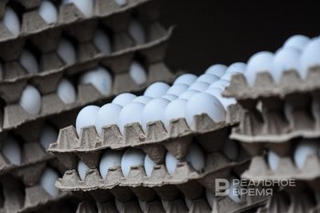 Agricultural holdings of Tatarstan to keep prices for eggs and poultry