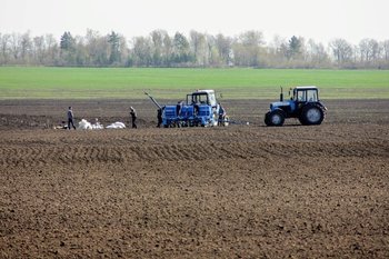 Grain crops losses of Tatarstan farmers may amount to 15 billion rubles