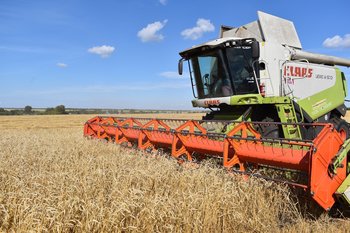 Investors begin investing in the opening of agrotechnology classes in Tatarstan