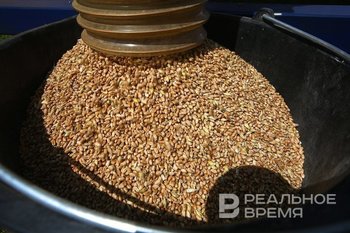 Grain hub in Tatarstan for 10.5 billion rubles to be launched ahead of schedule