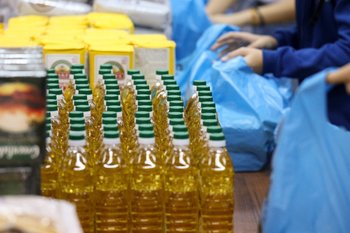 Sunflower for the Celestial Empire: China takes a closer look at Tetushi