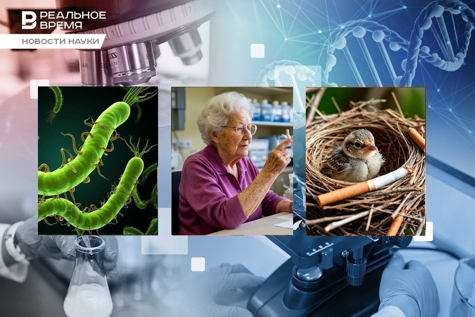 Cigarette butts in bird nests, a marker of biological age, a new antibiotic against helicobacter