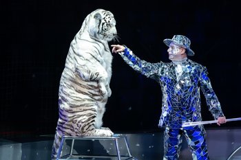 Humanism towards animals or ‘more idle talk’?