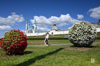 Green space maintenance in Kazan Kremlin to cost 20.4m rubles