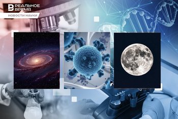 The birth of the Moon, meeting dark matter, 9 months with a pig kidney