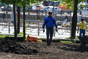 What the rise in personal income tax for migrants could mean: ‘Either illegal schemes or rising prices’