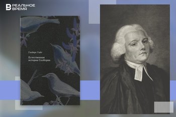 Gilbert White and the art of noticing the world