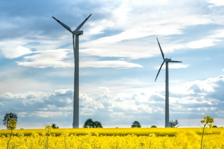 Saving the planet: How technology bringing environmental protection to the market