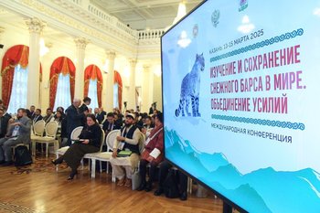‘Diplomacy of snow leopard’ clearly demonstrated in Kazan
