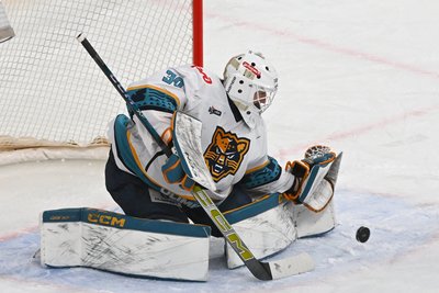 Goalkeeper Pavel Khomchenko: “The Swedish championship does not reach the KHL level”